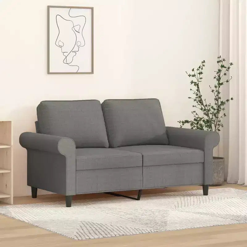 Canapé 2 places polyester gris foncé