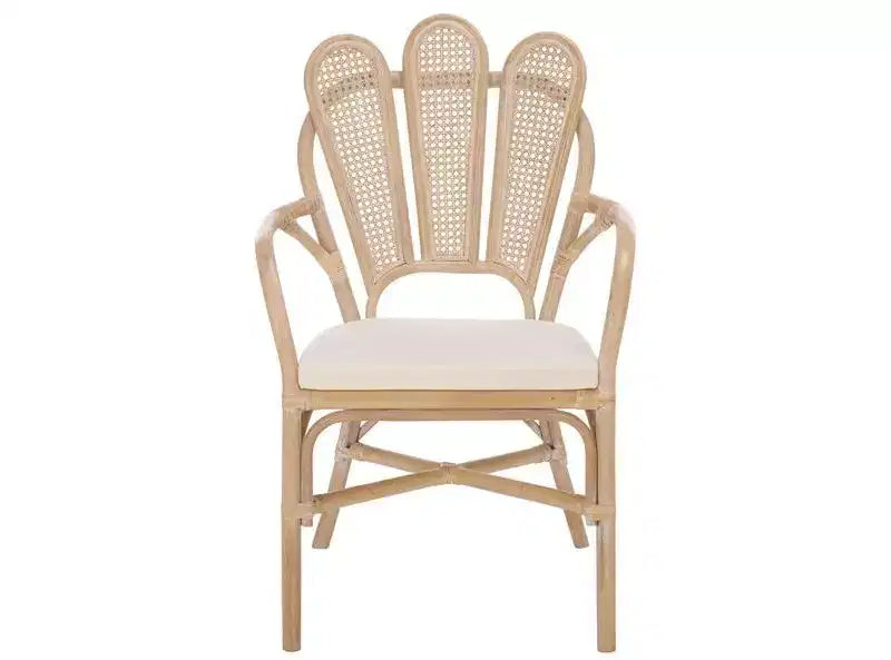Maki Arm Chair - ACH4904 - White Washed/Ivory - Safavieh